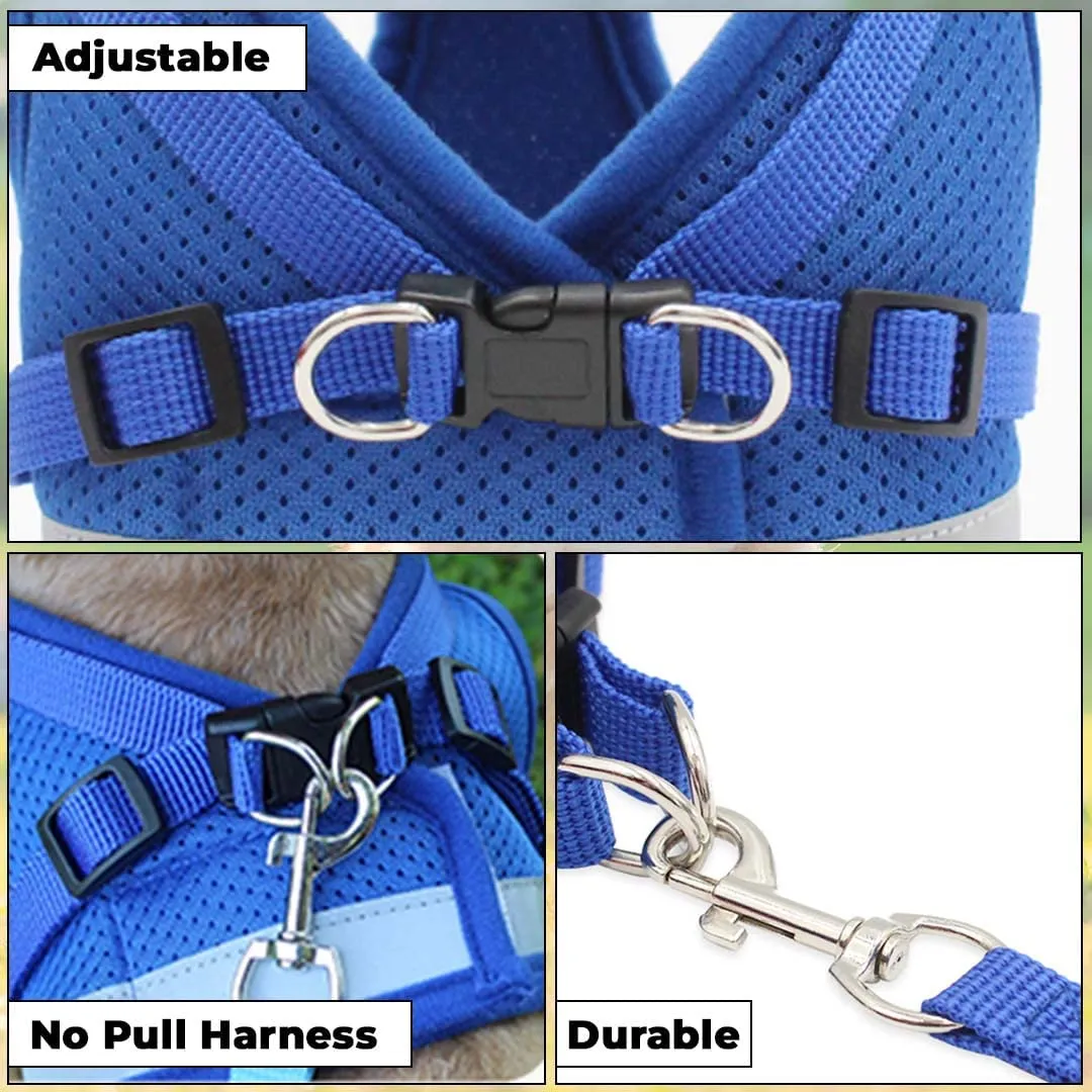 Kuber Industries Reflective Dog Harness with Adjustable Leash|Breathable Polyester Mesh Fabric |Large Size|HT-844|Comfortable No-Pull Grip|Quick Release Buckles|Easy On-Off Harness|Blue (Pack of 5)