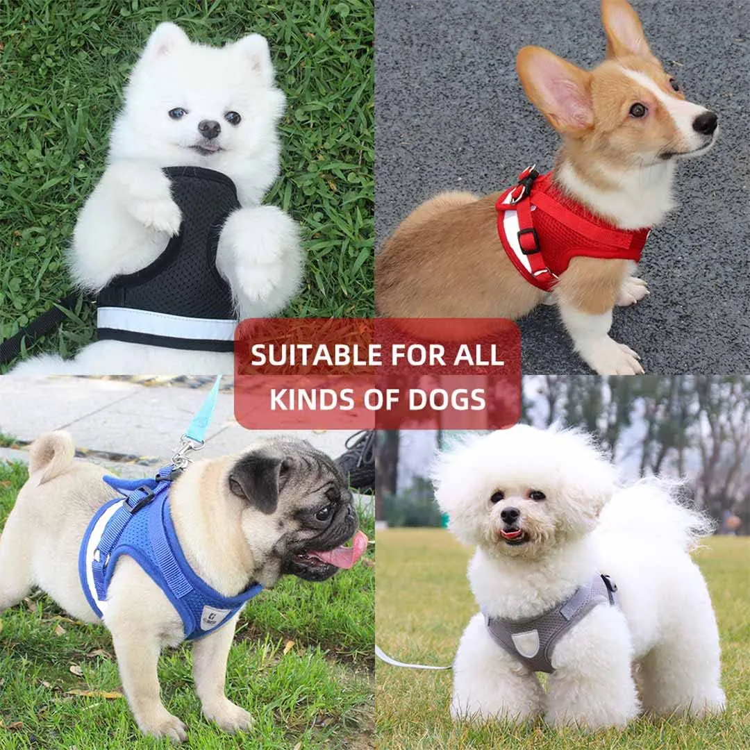Kuber Industries Reflective Dog Harness with Adjustable Leash|Breathable Polyester Mesh Fabric |Large Size|HT-844|Comfortable No-Pull Grip|Quick Release Buckles|Easy On-Off Harness|Blue (Pack of 5)