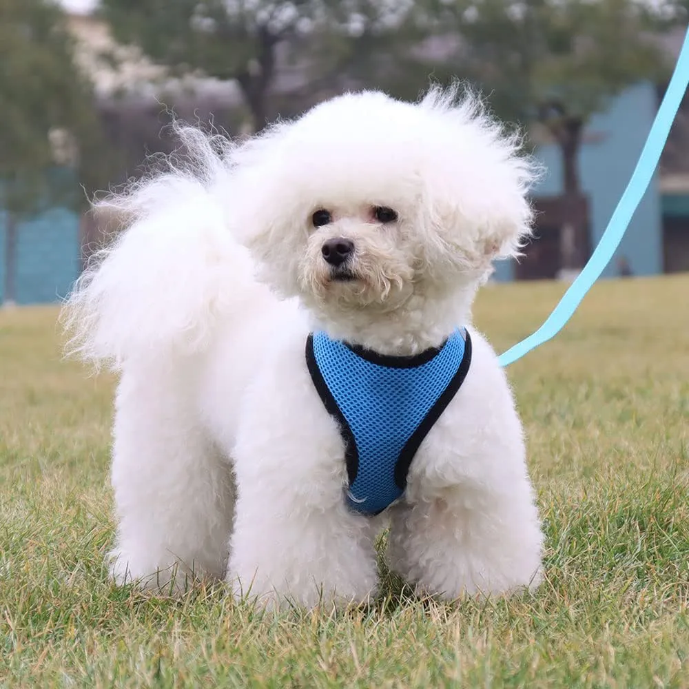 Kuber Industries Reflective Dog Harness With Adjustable Leash|Breathable Polyester Mesh Fabric With Top carry Handle|Medium Size|HAT-818|Comfortable No-Pull Grip|Quick Release Buckles|Blue (Pack Of 3)