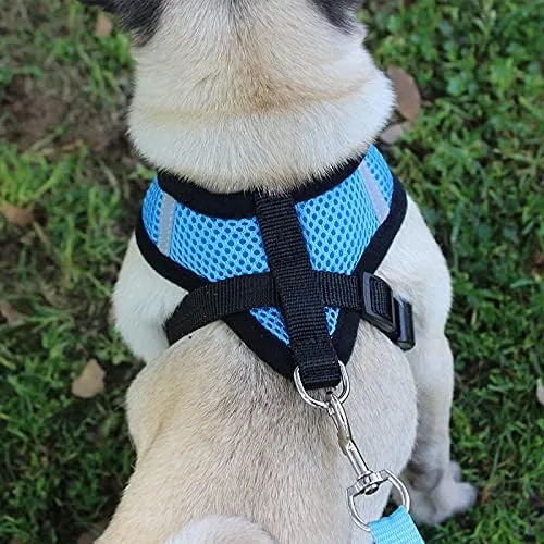 Kuber Industries Reflective Dog Harness With Adjustable Leash|Breathable Polyester Mesh Fabric With Top carry Handle|Medium Size|HAT-818|Comfortable No-Pull Grip|Quick Release Buckles|Blue (Pack Of 3)